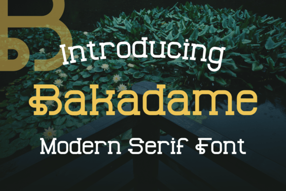 Bakadame: A Bold Choice for Strategic Design
